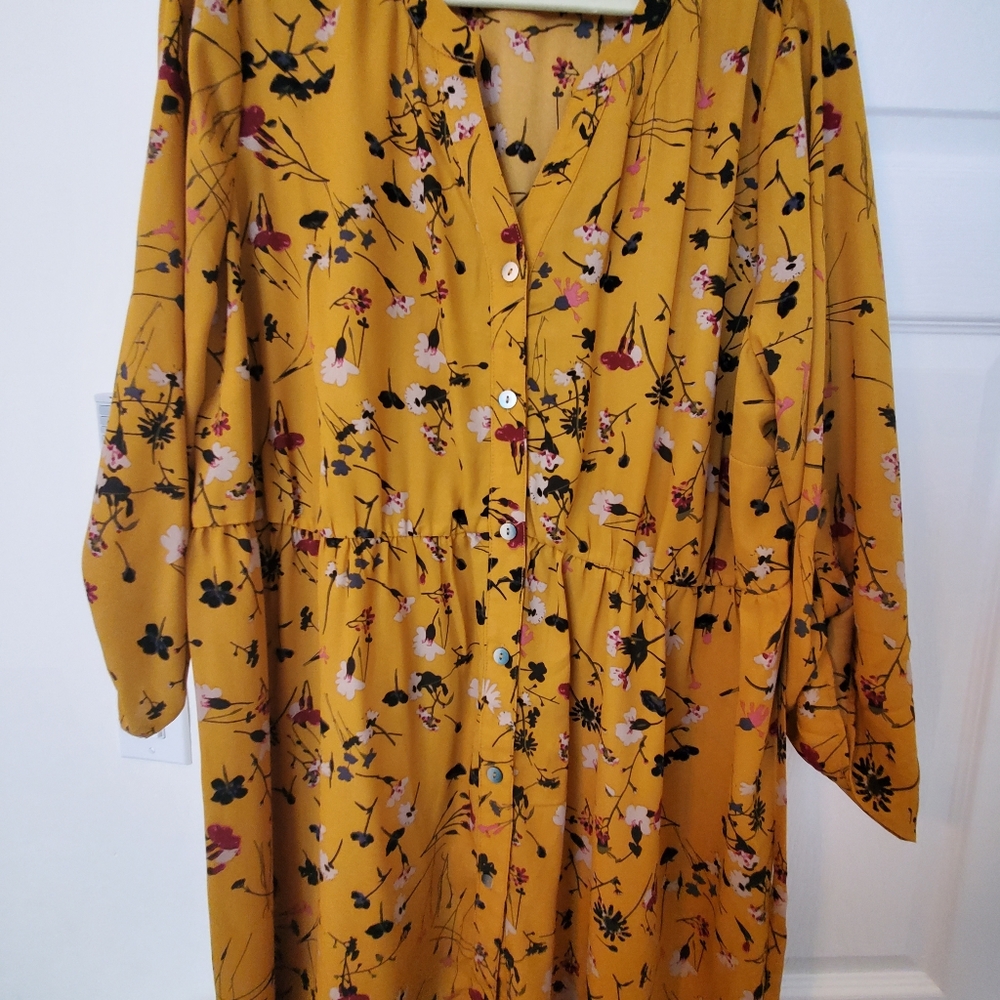 Fall tunic or dress